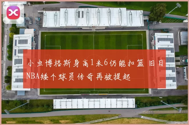 小虫博格斯身高1米6仍能扣篮 旧日NBA矮个球员传奇再被提起