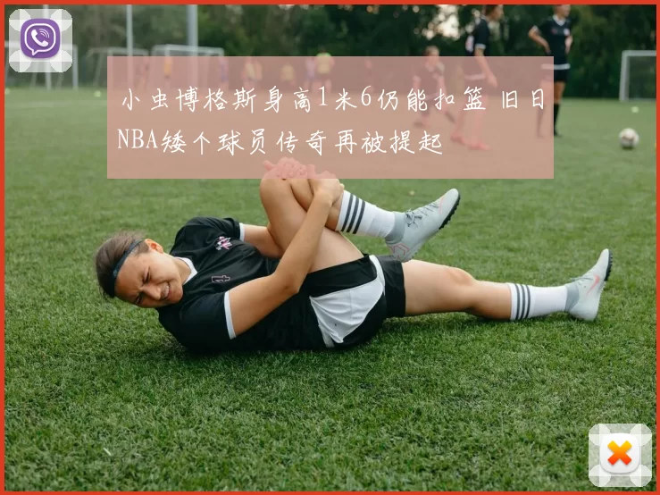 小虫博格斯身高1米6仍能扣篮 旧日NBA矮个球员传奇再被提起